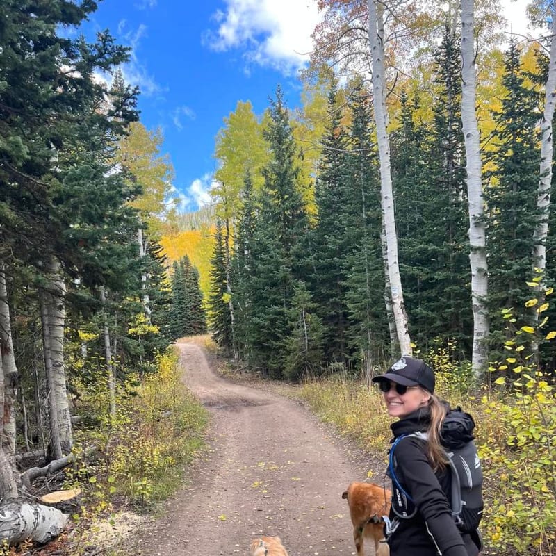 Dogs enjoying a walk on an autumn forest trail