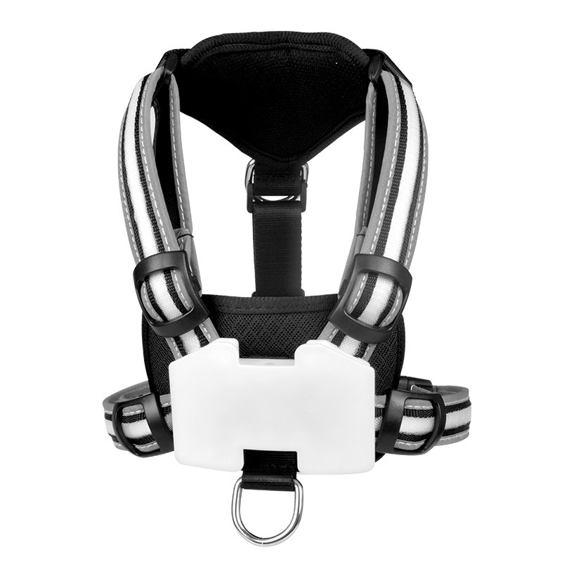 Glow Rider LED Harness