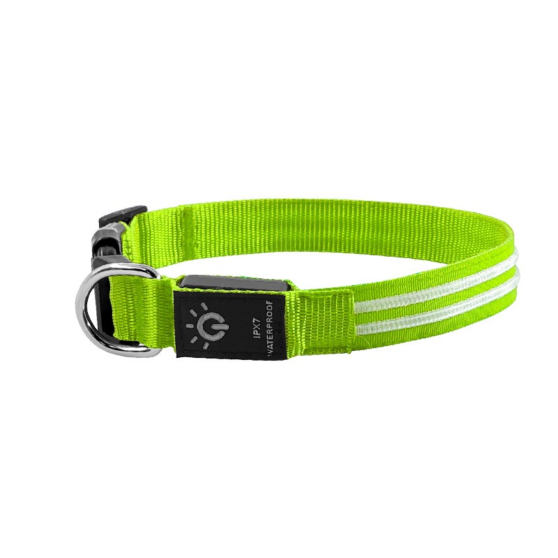 Night Glow LED Collar