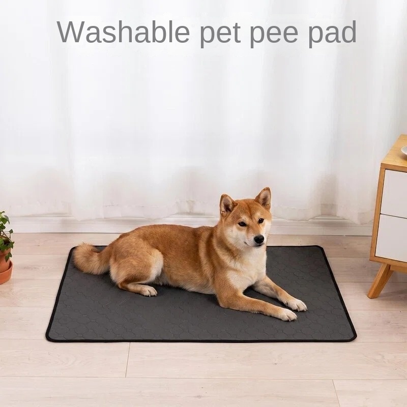 Washable pads used as door mats